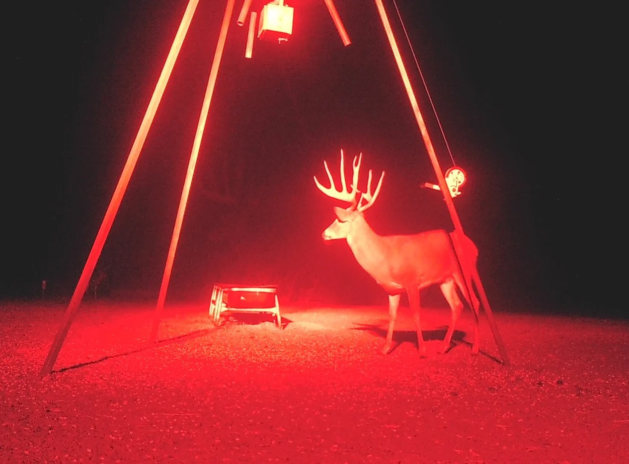 20 Inch Curved Red LED Predator Hunting LED Light Bar - Combo Optics - Black Oak LED Pro Series 3.0 - Image 3